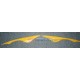 Mitsubishi Lancer 2006 P Eyelid