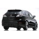 Lexus RX350 '09 Wald style Body Kit