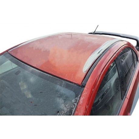 Mitsubishi Lancer EX '08 E10 style Roof Garnish