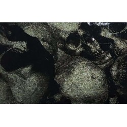 Hydrographics Film