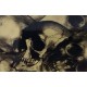 Hydrographics Film
