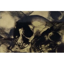 Hydrographics Film