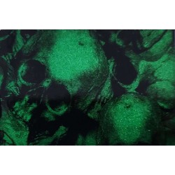 Hydrographics Film Skull Pattern