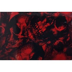 Hydrographics Film Skull Pattern