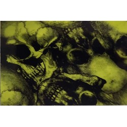 Hydrographics Film Skull Pattern