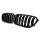 BMW 5 Series F10 Double Slat Front Grille