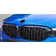BMW 3 Series F30 Star style Front Grille