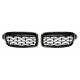 BMW 3 Series F30 Star style Front Grille