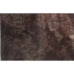 Hydrographics Film