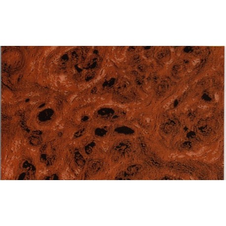 Hydrographics Film