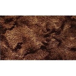 Hydrographics Film