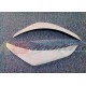 Honda Jazz Fit 2003 Eyelid